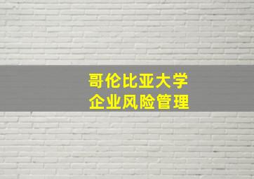 哥伦比亚大学 企业风险管理